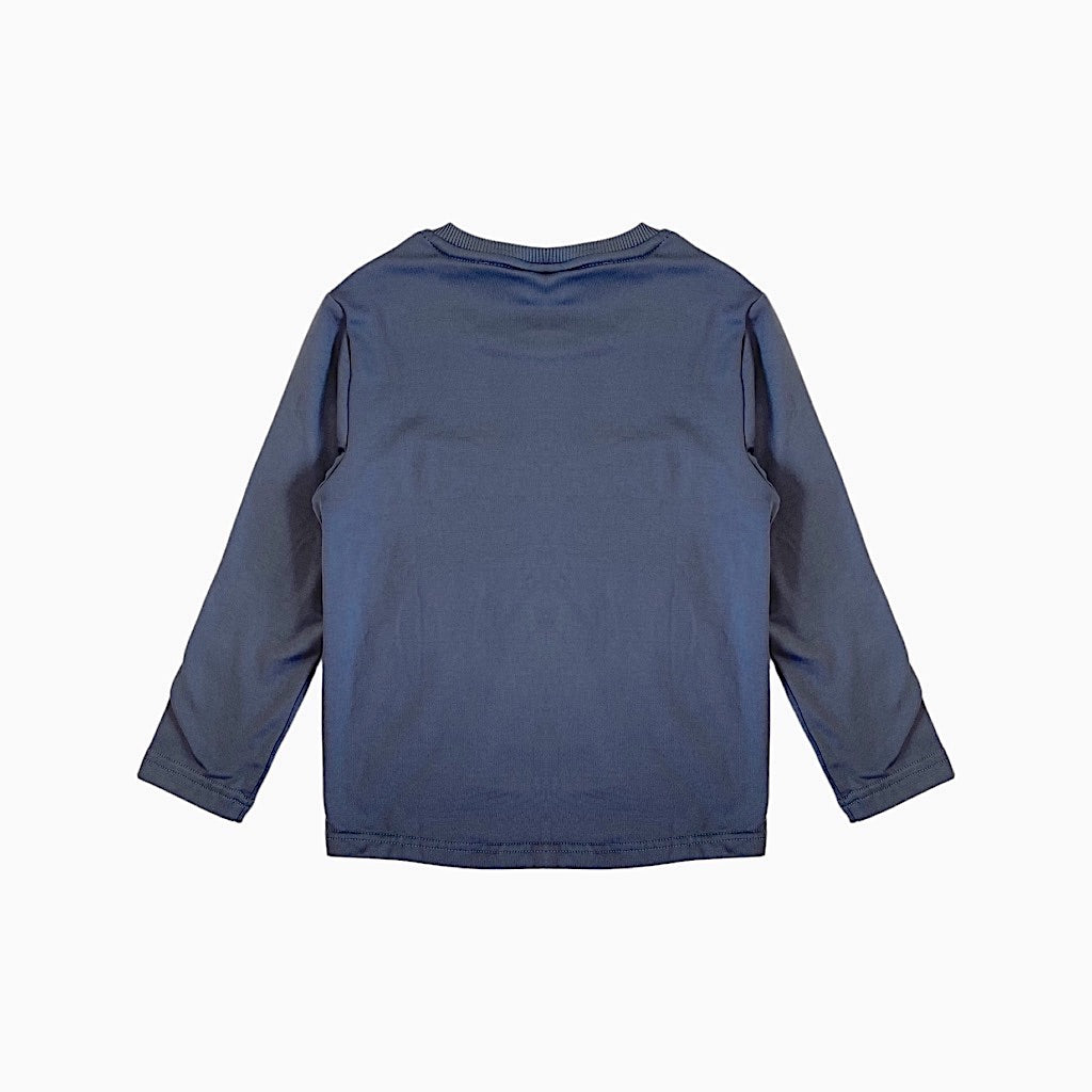 Silts, pelēks krekls puišiem 104 "Lupilu"