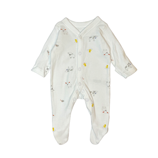 "Nutmeg" rāpulis farm 44cm